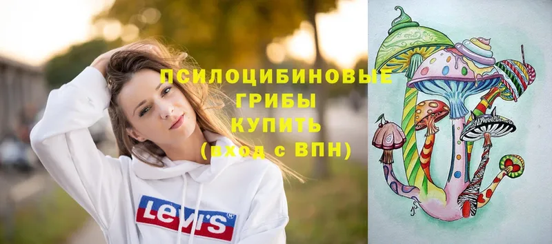 Галлюциногенные грибы Cubensis  OMG   Белоозёрский 